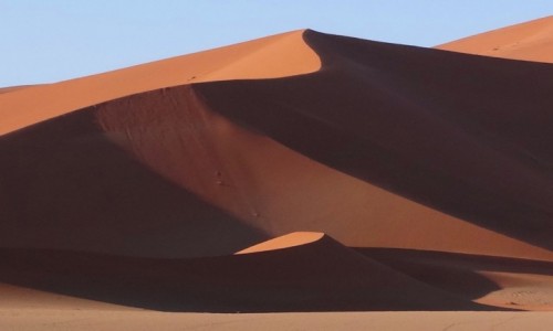 Zdjecie NAMIBIA / Pustynia Namib / Park Narodowy Namib Naukluft / wiatocie
