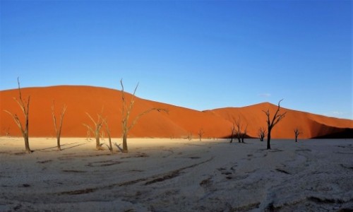 Zdjecie NAMIBIA / Park Narodowy Namib Naukluft / Dead vlei / I soce, i cie