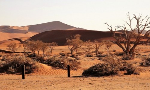 Zdjecie NAMIBIA / Park Narodowy Namib Naukluft / Pustynia Namib / Soce ju nisko...