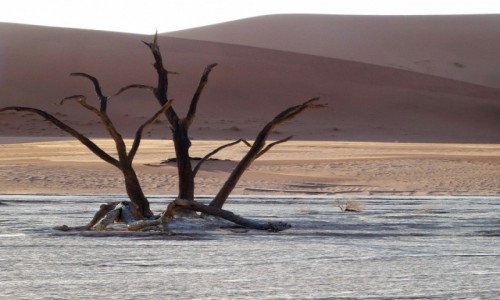 Zdjcie NAMIBIA / Park Narodowy Namib Naukluft / Sossusvlei / Soce ju bardzo nisko...