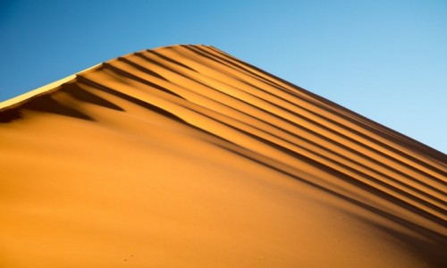 Zdjecie NAMIBIA / Park Narodowy Namib Naukluft / Wydma 45 / Namibia