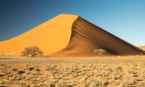 Zdjecie NAMIBIA / Park Narodowy Namib Naukluft / Wydma 45 / Namibia
