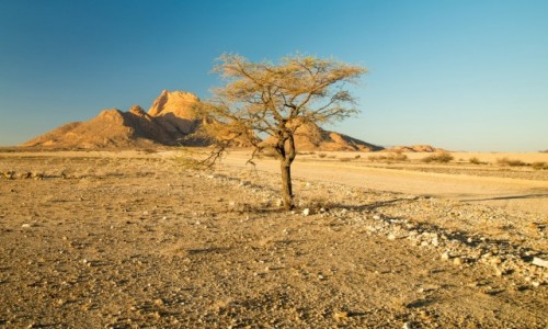 Zdjecie NAMIBIA / Namibia  / Spitzkoppe / Namibia