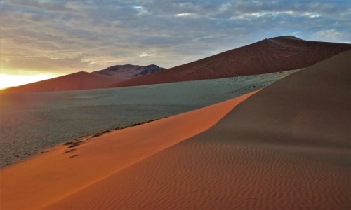 Zdjecie NAMIBIA / Park Narodowy Namib Naukluft / pod wydm 45 / Wschd soca na pustyni Namib