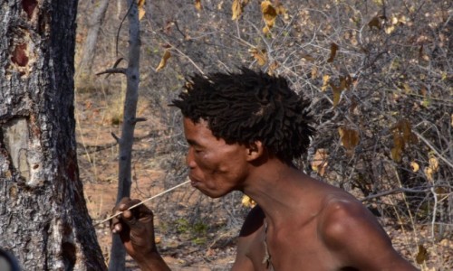 Zdjecie NAMIBIA / Pnocna Namibia / Kotlina Kalahari / Buszmeni 