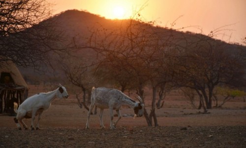 Zdjecie NAMIBIA / Pnocna Namibia / Wioska Himba / Po 