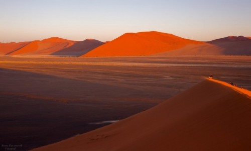 Zdjecie NAMIBIA / Sossusvlei / Namib / Pustynia Namib