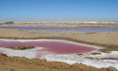 Zdjcie NAMIBIA / Walvis BAy / ... ogaszam konkurs - co to moe by? / Ocean niejedn ma .... barw 