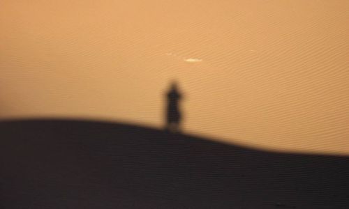 Zdjecie NAMIBIA / Sousussvlei / Wielka Pustynia Namibijska / orła cień ;)