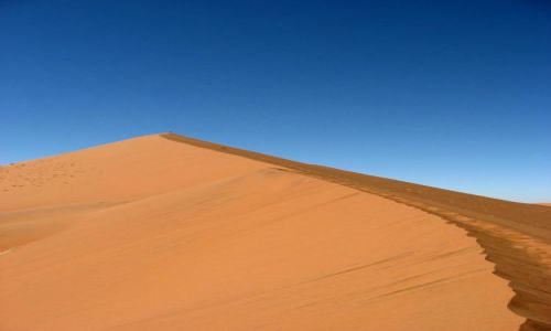 Zdjęcie NAMIBIA / Pustynia Namibijska / Soususvlei / jeszcze tylko kilka kroków... i za godzinę będę na szczycie...