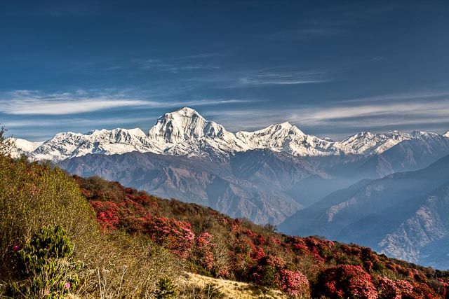 Zdjęcia: Poon Hill, Annapurna Conservation Area, Dhaulagiri z Poon Hill, NEPAL Zdjęcia: Poon Hill, Annapurna Conservation Area, Dhaulagiri z Poon Hill, NEPAL