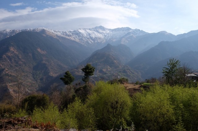 Zdj cia: Gorepani, Annapurna Conservation Area, Na szlaku z Shikha do Gorepani, NEPAL