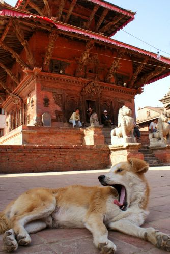 Zdjęcia: Kathmandu, Madhyamańćal Wikas Kszetr, Wschodnia architektura, NEPAL Zdjęcia: Kathmandu, Madhyamańćal Wikas Kszetr, Wschodnia architektura, NEPAL