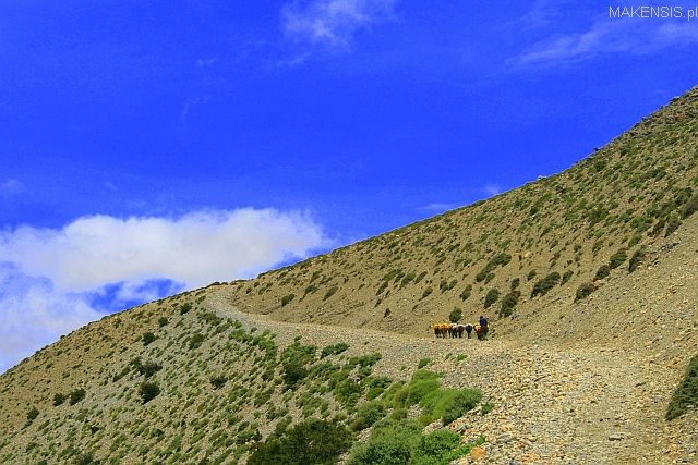 Zdjęcia: gdzies pomiedzy.., JOMSON Trek, Utarty szlak, NEPAL Zdjęcia: gdzies pomiedzy.., JOMSON Trek, Utarty szlak, NEPAL