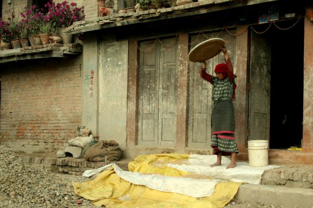 Zdjęcia: Gdzieś w wiosce pod Katmandu, Przesiewanie ryżu, NEPAL Zdjęcia: Gdzieś w wiosce pod Katmandu, Przesiewanie ryżu, NEPAL