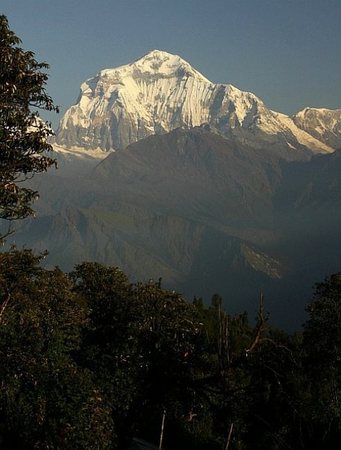 Zdjęcia: Ghorephani, Annapurna Sanctuary, Dhaulaghiri 8164, NEPAL Zdjęcia: Ghorephani, Annapurna Sanctuary, Dhaulaghiri 8164, NEPAL