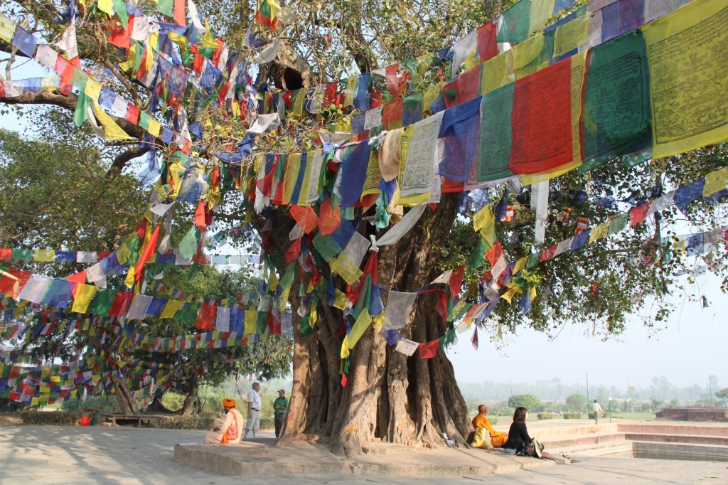 Zdjęcia: Lumbini, Tu urodził się Budda..., NEPAL Zdjęcia: Lumbini, Tu urodził się Budda..., NEPAL