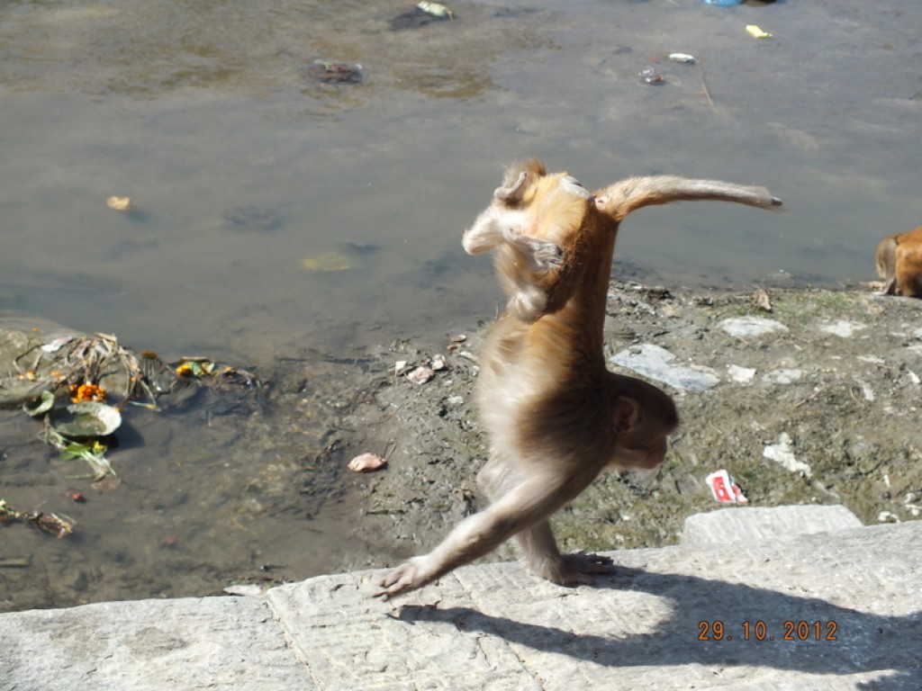 Zdjęcia: Kathmandu, Kathmandu, Kathmandu, NEPAL Zdjęcia: Kathmandu, Kathmandu, Kathmandu, NEPAL