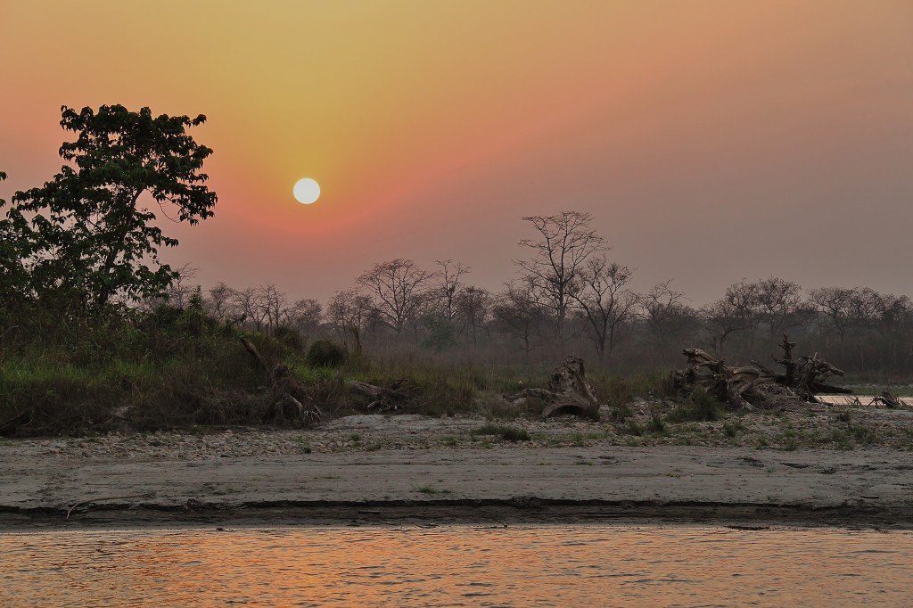 Zdjęcia: Chitwan National Park, W dżungli..., NEPAL Zdjęcia: Chitwan National Park, W dżungli..., NEPAL