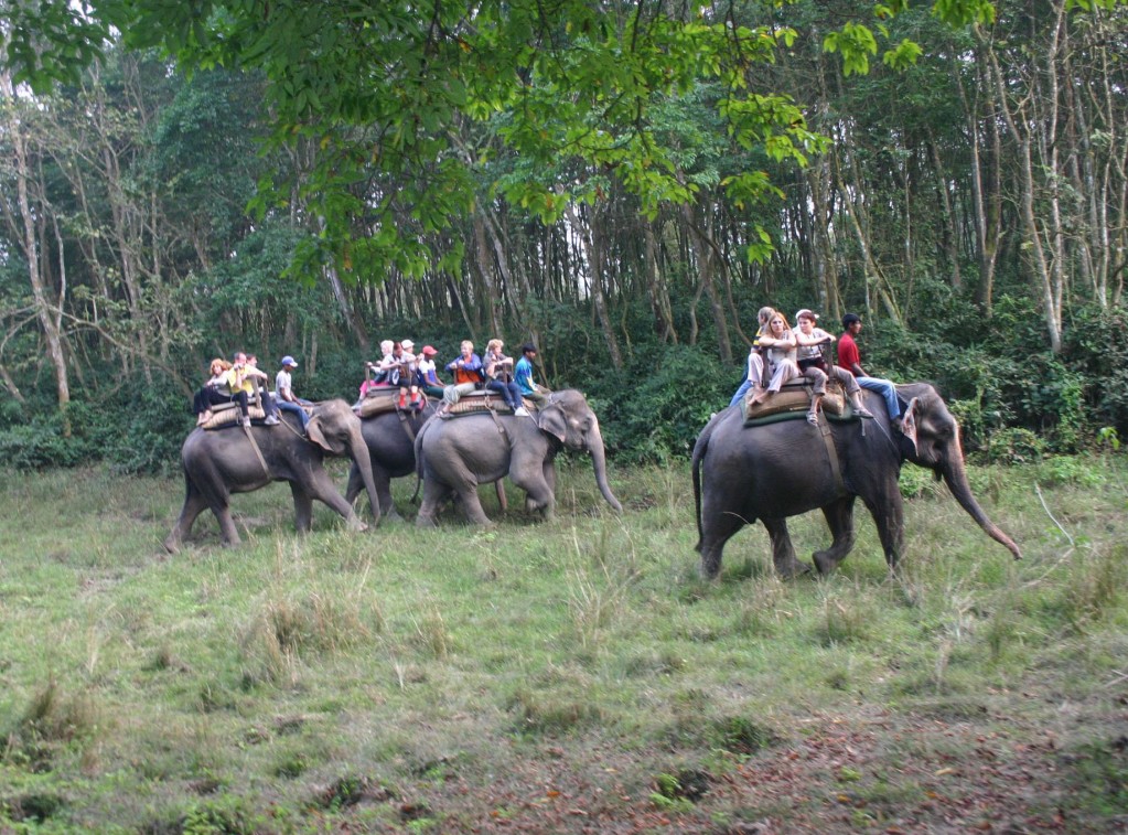 Zdjęcia: Royal Chitwan National Park, Zbocza pasma himalajskiego Siwalik, Safari na słoniach, NEPAL Zdjęcia: Royal Chitwan National Park, Zbocza pasma himalajskiego Siwalik, Safari na słoniach, NEPAL