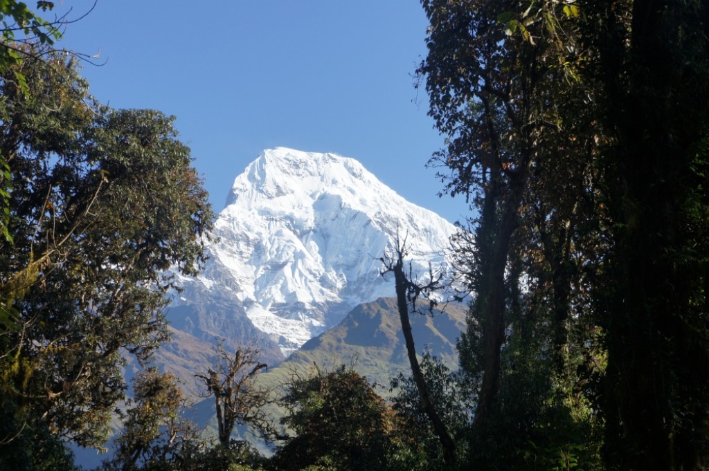 Zdjęcia: Ghorepani, Annapurna Range, Annaporna Południowa 7219m.n.p.m., NEPAL Zdjęcia: Ghorepani, Annapurna Range, Annaporna Południowa 7219m.n.p.m., NEPAL