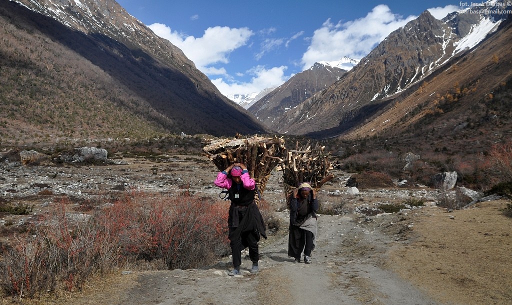 Zdjęcia: Samagaon, Manaslu, ciężka praca, NEPAL Zdjęcia: Samagaon, Manaslu, ciężka praca, NEPAL