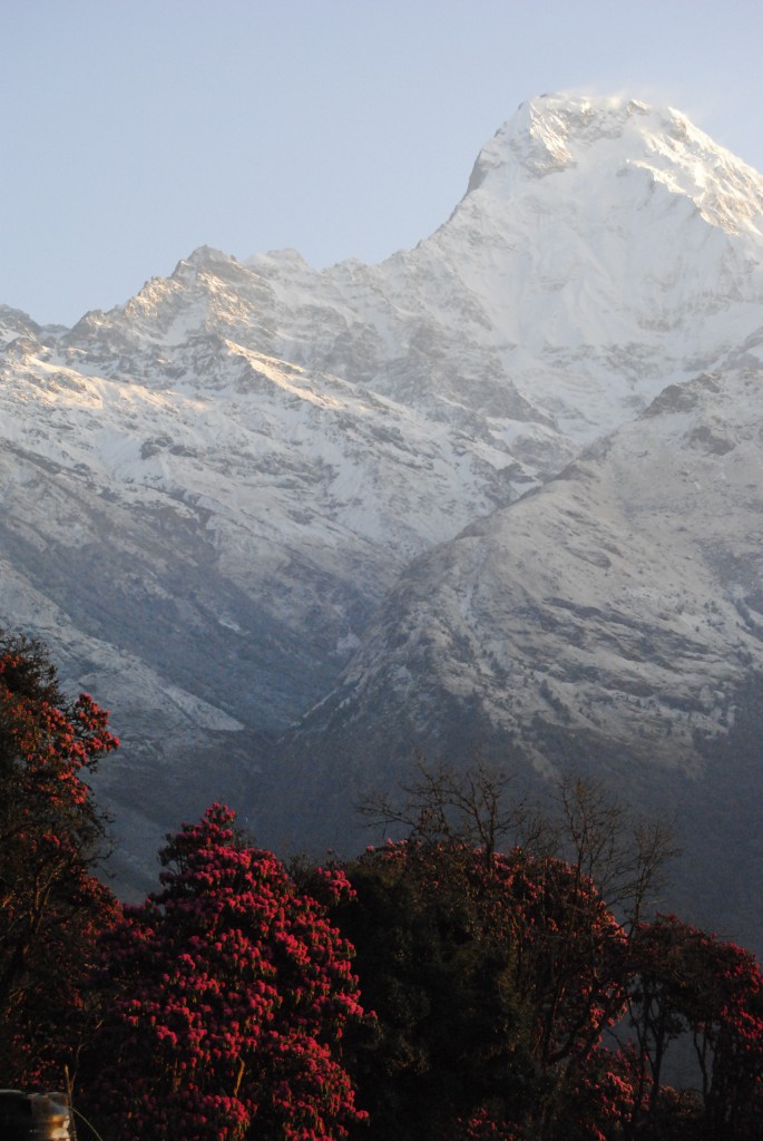 Zdjęcia: ANNAPURNA, Annapurna, NEPAL, NEPAL Zdjęcia: ANNAPURNA, Annapurna, NEPAL, NEPAL