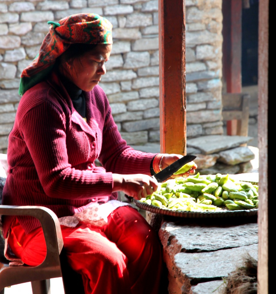 Zdjęcia: Sinuwa - w drodze do ABC, Himalaje, praca, NEPAL Zdjęcia: Sinuwa - w drodze do ABC, Himalaje, praca, NEPAL