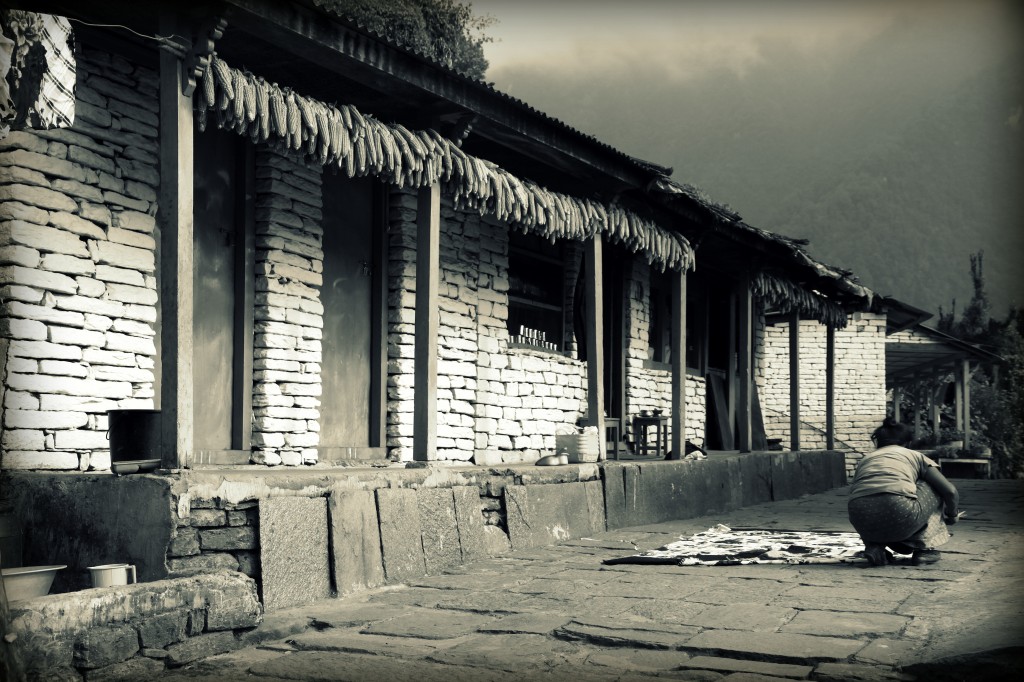 Zdjęcia: Sinuwa - w drodze do ABC, Himalaje, w nepalskiej wiosce, NEPAL Zdjęcia: Sinuwa - w drodze do ABC, Himalaje, w nepalskiej wiosce, NEPAL