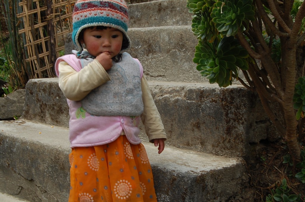 Zdjęcia: ThuloShaphru, Lnagtang, I teraz dokąd, NEPAL Zdjęcia: ThuloShaphru, Lnagtang, I teraz dokąd, NEPAL
