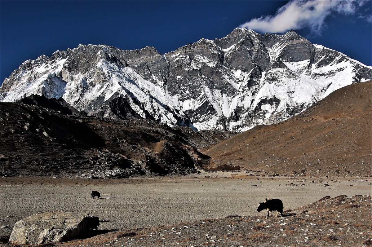 Zdjęcia W drodze do BC Imja Tse (Island Peak), Himalaje, Lhotse Glacier, Niesamowite ściany Zdjęcia W drodze do BC Imja Tse (Island Peak), Himalaje, Lhotse Glacier, Niesamowite ściany