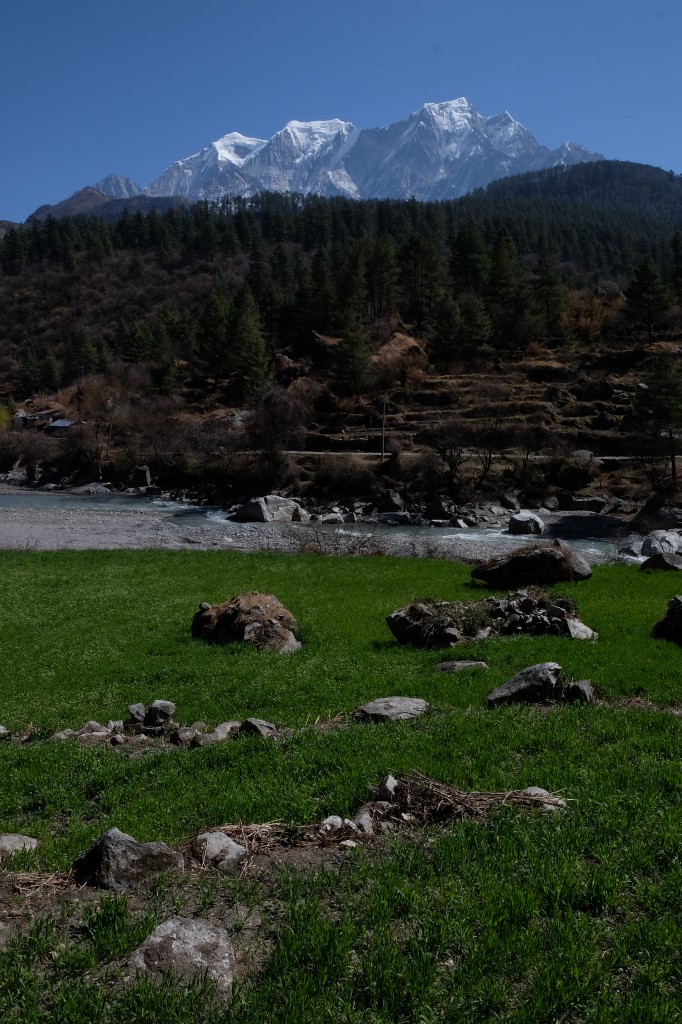 Zdjęcia: Tukuche, Tukuche, Nadchodzi wiosna!, NEPAL Zdjęcia: Tukuche, Tukuche, Nadchodzi wiosna!, NEPAL