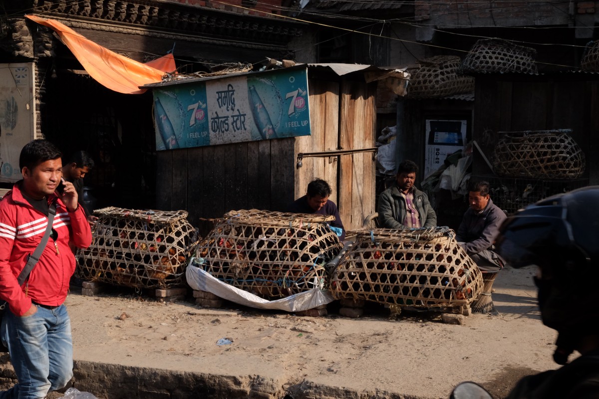 Zdjęcia: Patan, Kathmandu, Komu kurczaka?, NEPAL Zdjęcia: Patan, Kathmandu, Komu kurczaka?, NEPAL