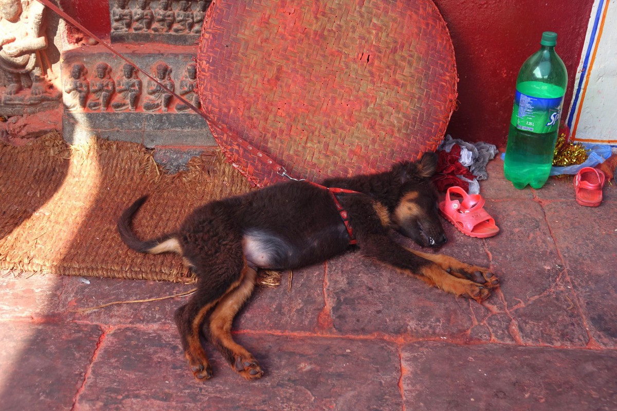 Zdjęcia: Katmandu, Katmandu, Katmandu, NEPAL Zdjęcia: Katmandu, Katmandu, Katmandu, NEPAL