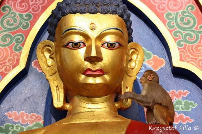 Zdjęcia: Swayambhu , Kathmandu, Golden Budda, NEPAL Zdjęcia: Swayambhu , Kathmandu, Golden Budda, NEPAL