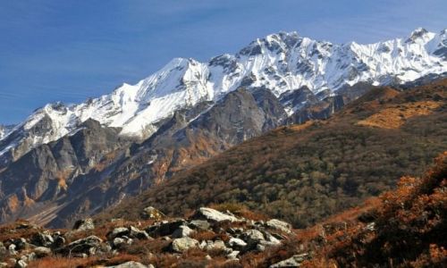 Zdjcie NEPAL / Langtang / Langtang / Naya Kanga