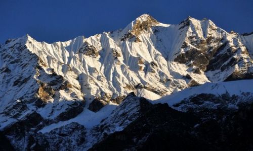 Zdjcie NEPAL / Langtang / Langtang / ....