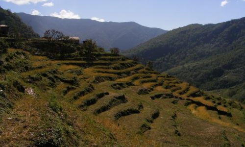 Zdjecie NEPAL / Annapurna / w kierunku Annapurny z Pokhary / Nepal