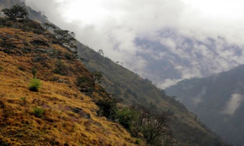 Zdjcie NEPAL / Himalaje / Dolina Langtang / Droga z Syabru Besi do Ghora Tabela