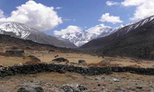 Zdjecie NEPAL / Himalaje / Dolina Langtang / Droga do Kyanjin Gompa