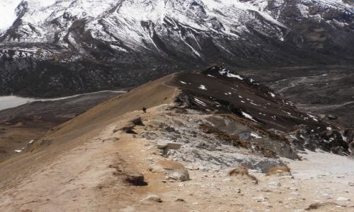 Zdjecie NEPAL / Himalaje / Dolina Langtang / Zejcie z Kyanjin Ri (4773 m)