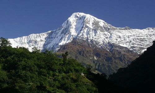 Zdjcie NEPAL / Annapurna / w drodze / Hiunchuli 6434m