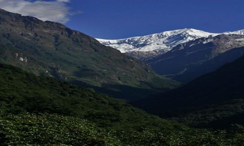 Zdjcie NEPAL / Annapurna / w drodze / dolina Modhi Khola