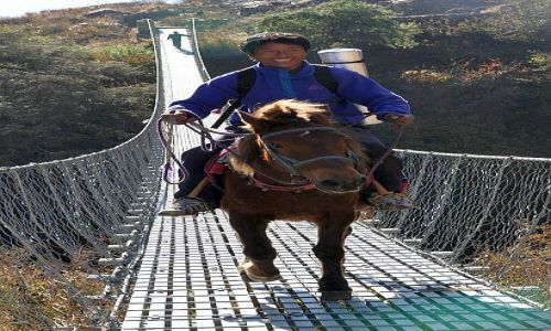 Zdjecie NEPAL / Langtang / ok/Kyanjin Gompa / ihaaa