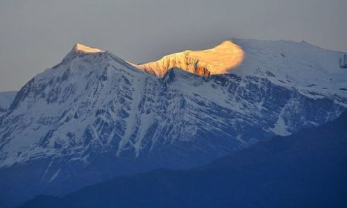 Zdjcie NEPAL / Kaski / Poon Hill / Gurja Himal 7193 i Dhaulagiri VI 7268m