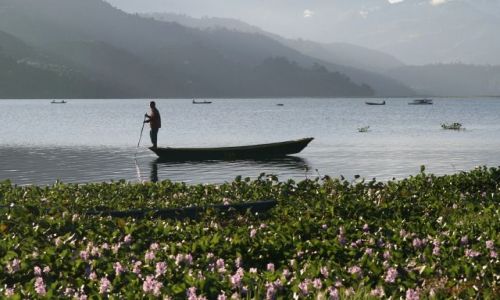 Zdjecie NEPAL / Pokhara / Pokhara / Jezioro Phewa