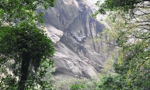 Zdjecie NEPAL / Langtang / na trasie / miodzik 3