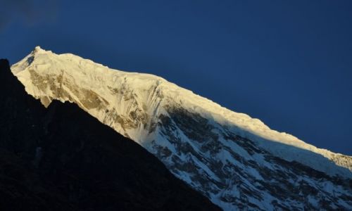 Zdjcie NEPAL / Langtang National Park / Kyanjin Gompa / Langtang Lirung 7227m.n.p.m. o wschodzie