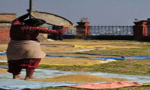 Zdjcie NEPAL / - / Kirtipur / Kobieta pracujca
