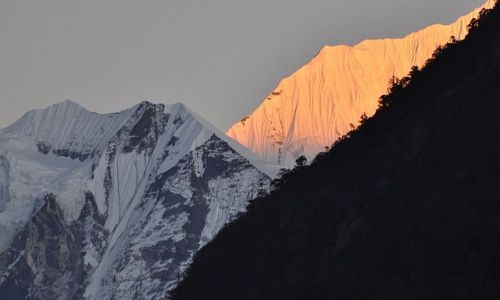 Zdjecie NEPAL / Langtang / Kyanjin Gompa / trzy kolory